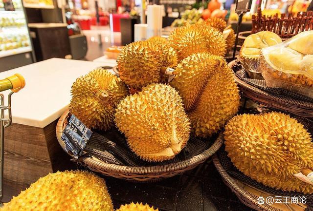 中国每年花280亿元进口榴莲,为啥不自己种?