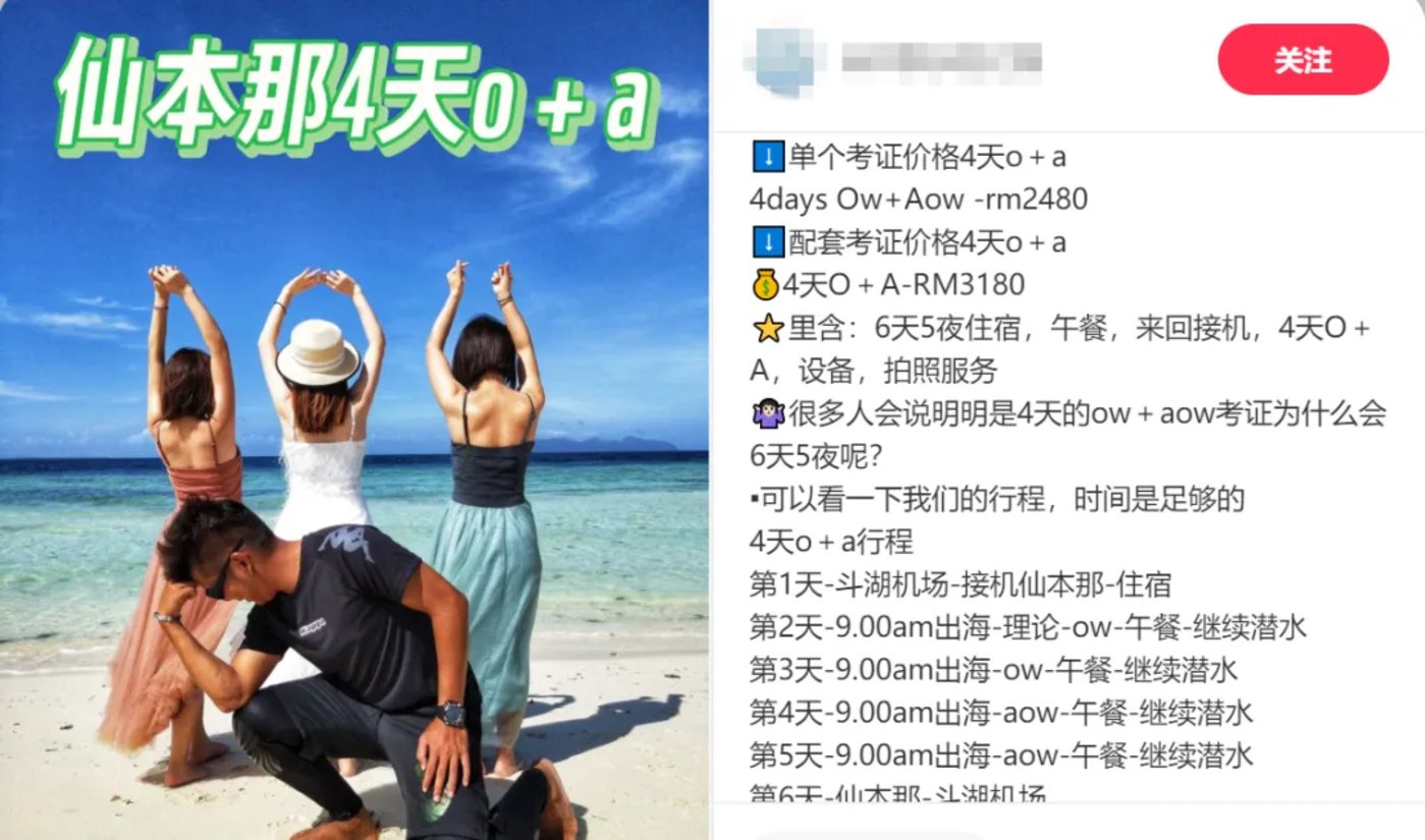 东南亚潜水速成班，量产中国「危险」潜水客