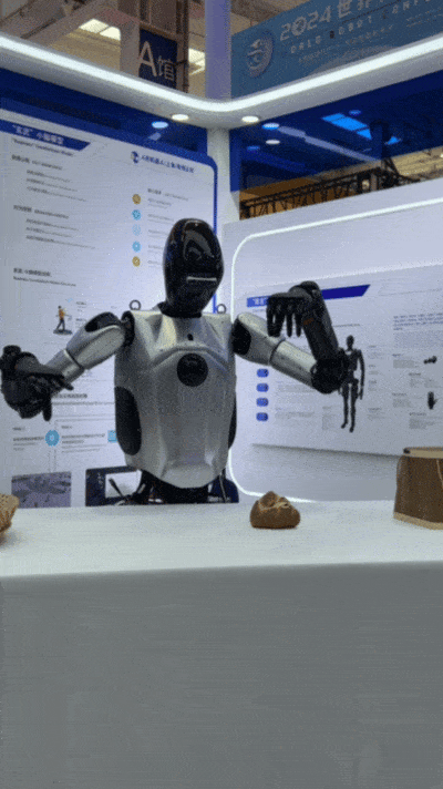 人形机器人，终究还是泡沫？