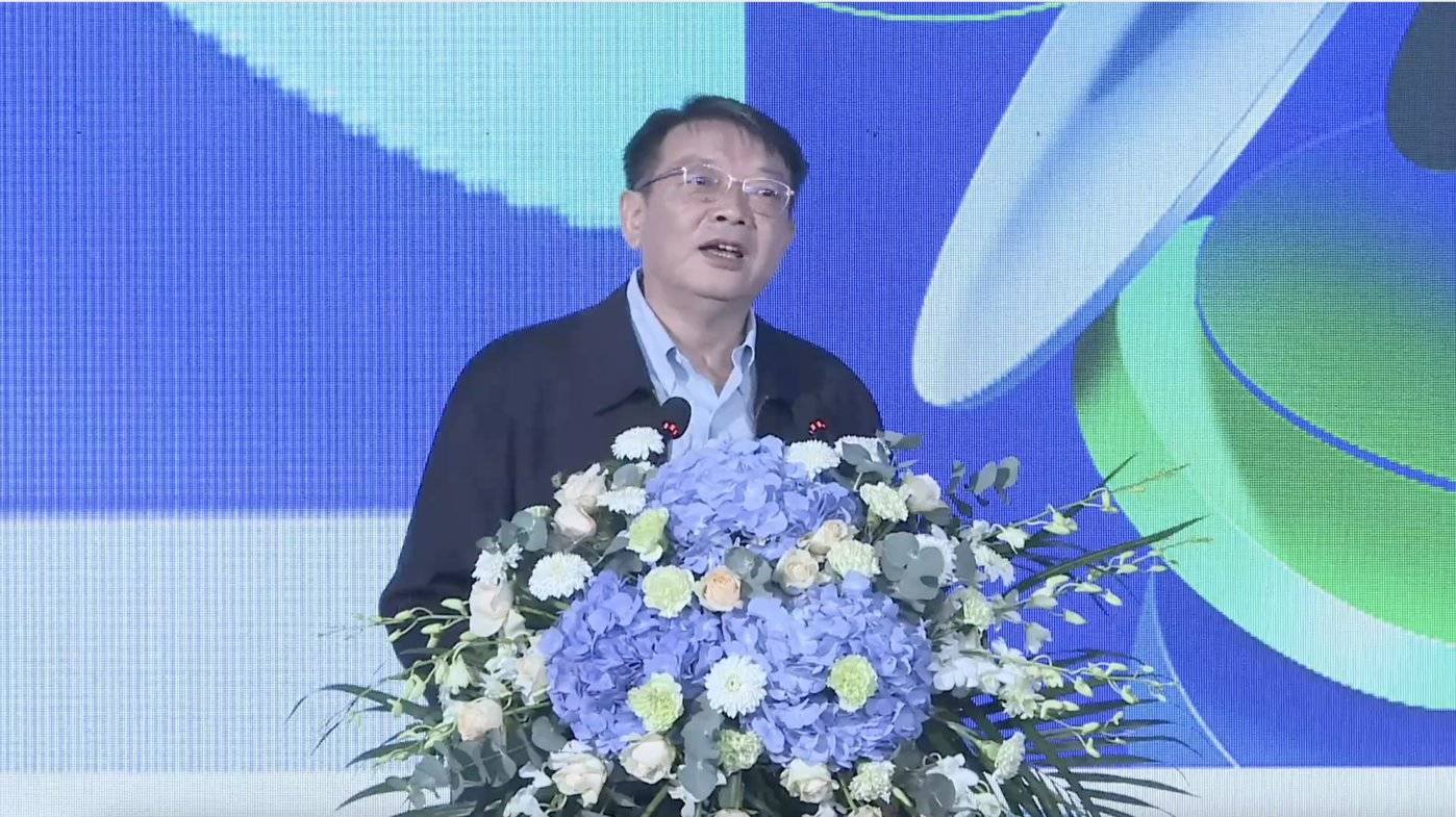 叶甜春：中国不能抛弃全球化，国产「替代」不是中国芯片产业发展主题｜硅基世界