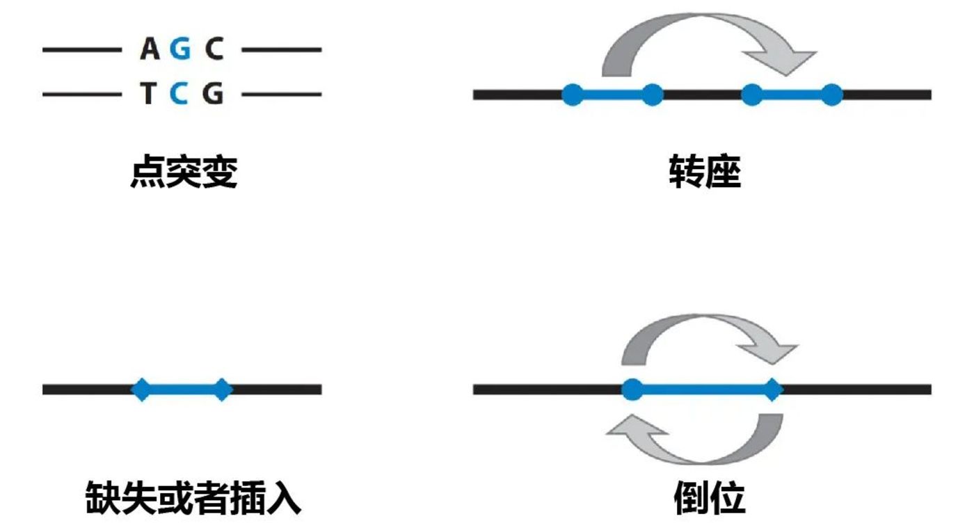 我们的身体充满「错误」，却让我们成为自己