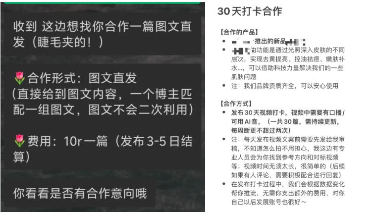 电商出海，会成为小红书的商业化良药吗？