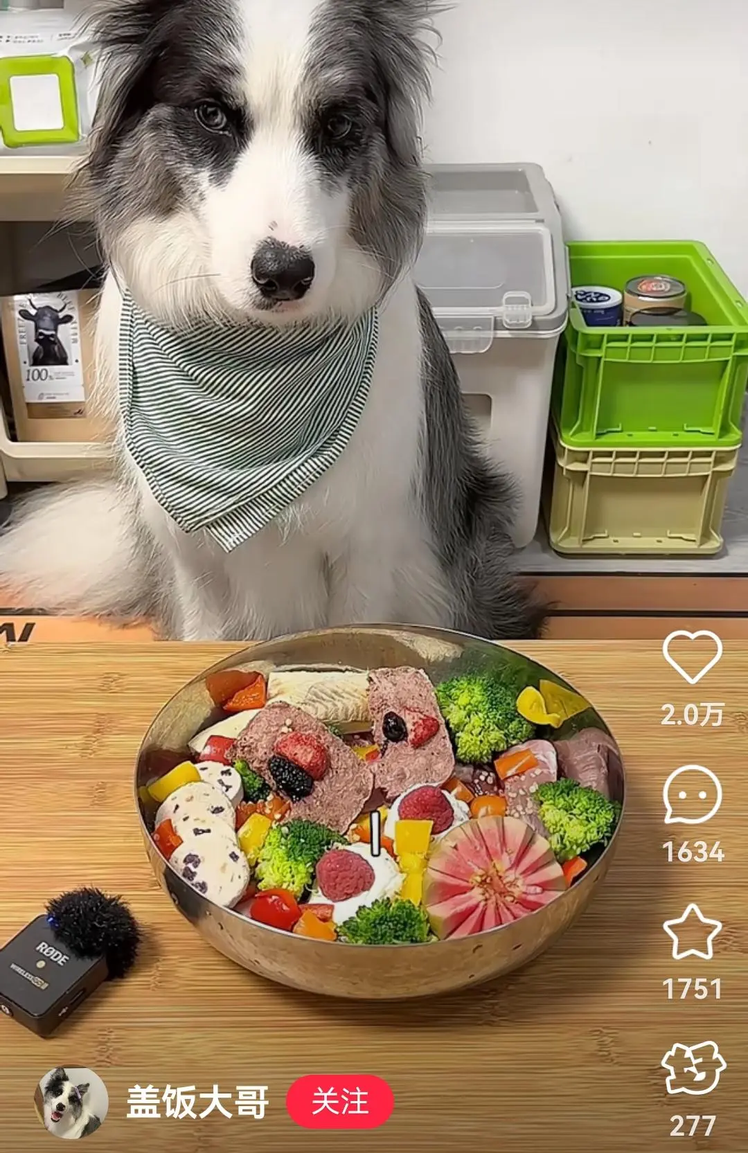 自己吃拼好饭，宠物吃米其林大餐，「富养宠物」捧红一个百亿市场