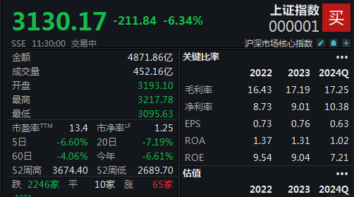 A股波动加大，沪指半日下挫6.34%