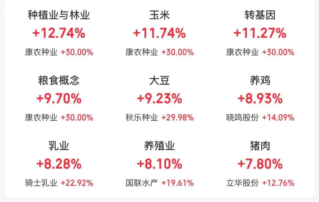 突然爆发 养殖龙头纷纷涨停！市场人士：猪价中期存回调风险