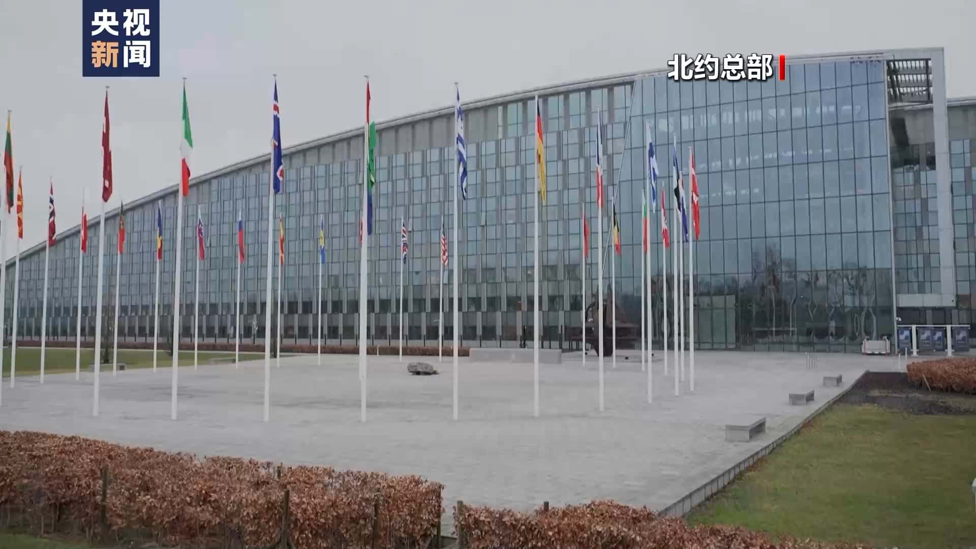 特朗普出手！美国驻北约军事代表被解雇