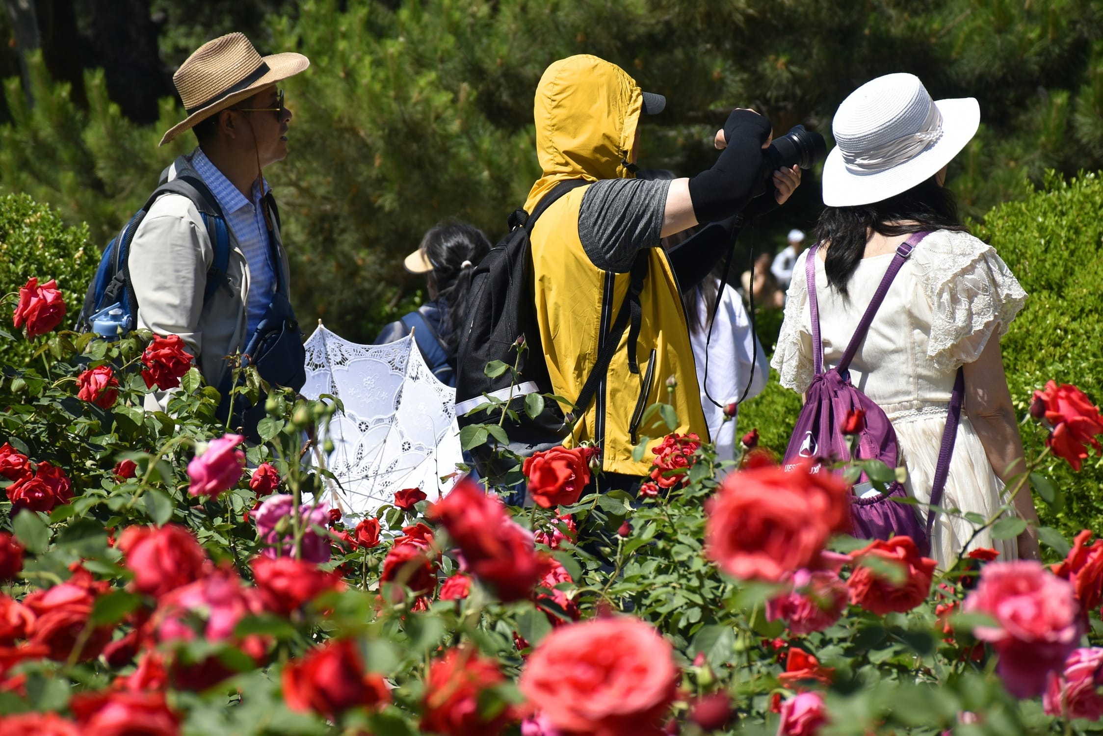 局地或超40℃，北方今年首场高温开启，西安今起或迎高温「四连击」！