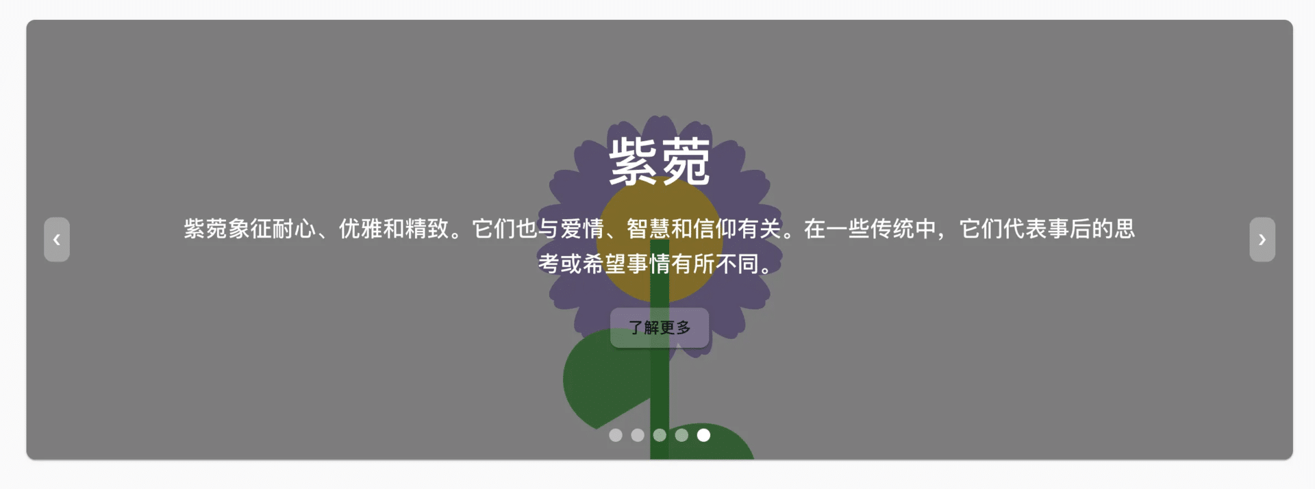 🌸探索花语的奥秘：全新花语网站上线啦！