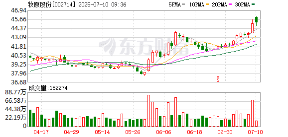 「猪茅」牧原股份预计上半年归母净利润同比增长逾10倍 6月成本接近全年成本目标