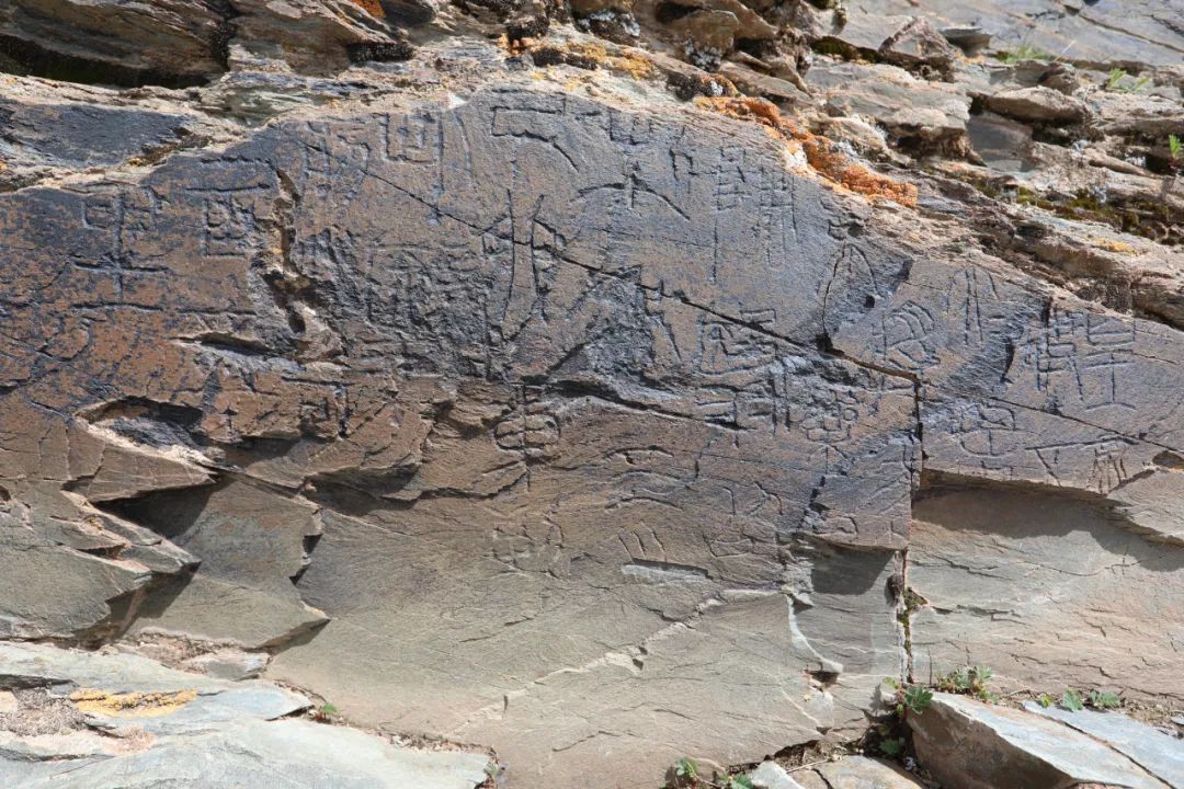 独家：玛多县当地有牧民称40年前就曾看见「昆仑石刻」，是否「秦始皇遣使采药」遗迹，尚需国家权威部门认定