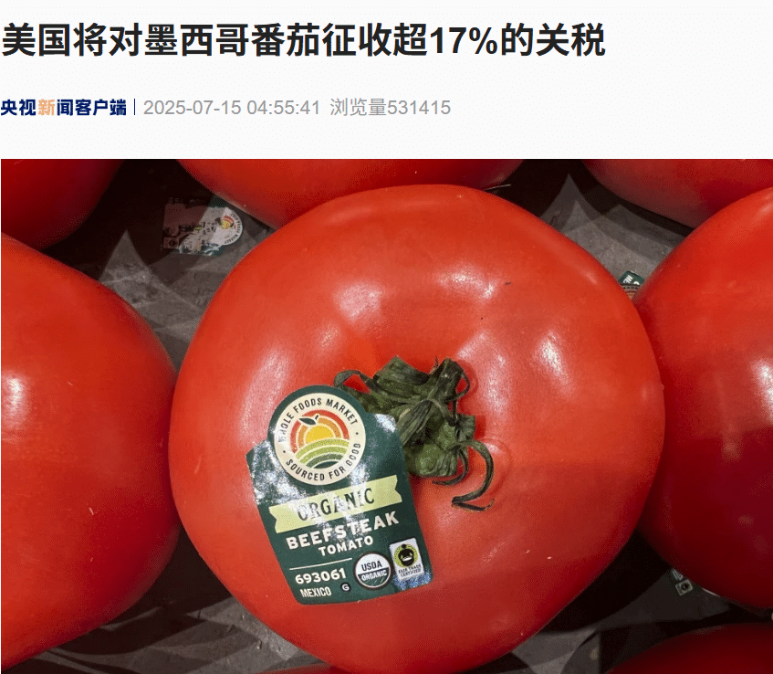 美国将对这国番茄征收超17% 的关税！美「关税通牒」引众怒，欧盟民众：不能接受美国霸凌......