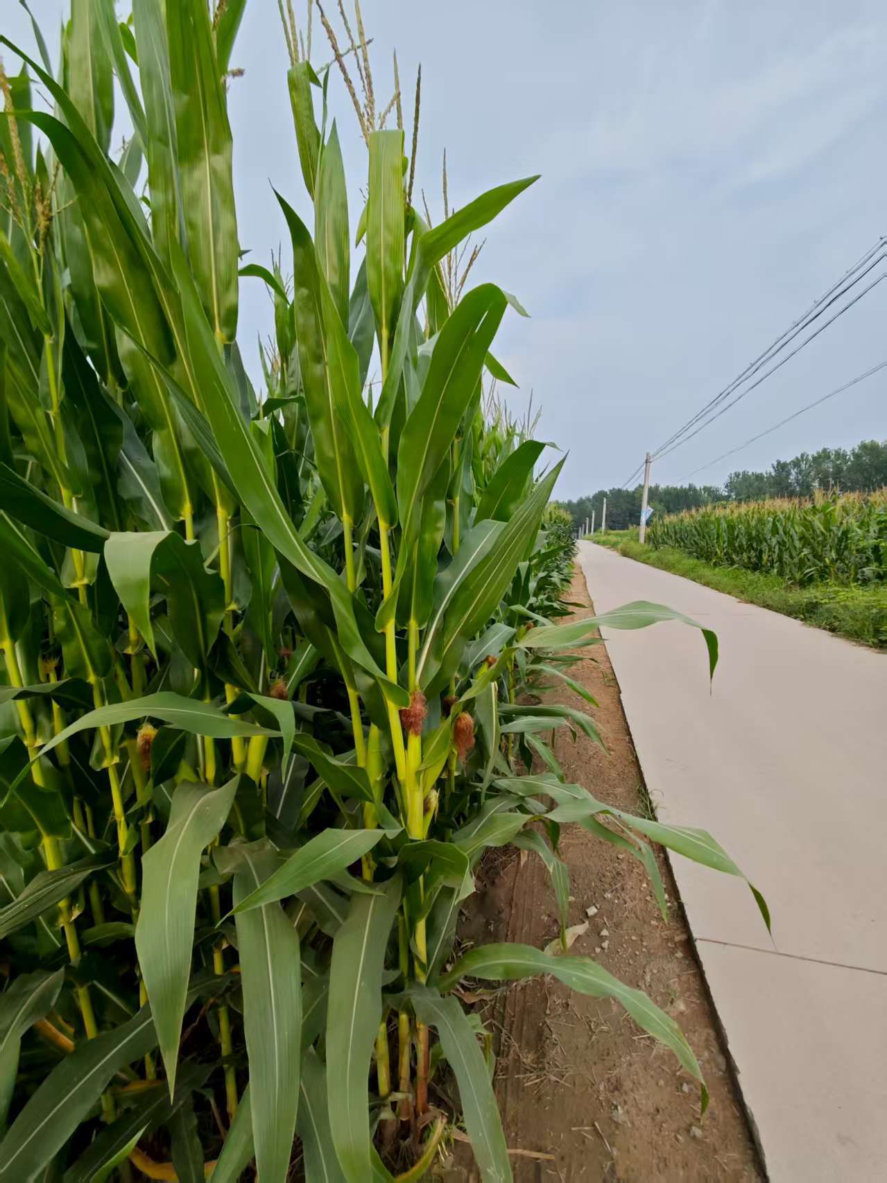 49 岁重启周记 25 ：天降财运，这次终于轮到我