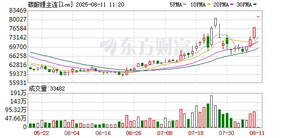 碳酸锂期货主力合约开盘涨停 报81000元/吨