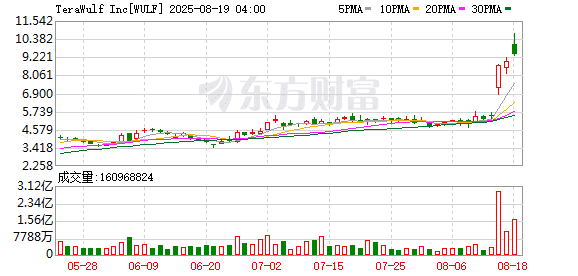 数据中心运营商TeraWulf股价暴涨 谷歌持股近翻番至14%