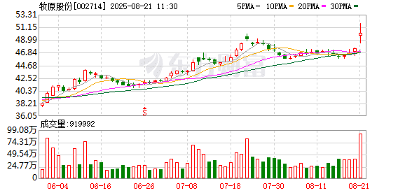 降本显著 牧原股份上半年净利增近12倍 承诺能繁母猪存栏量年末将降至330万头