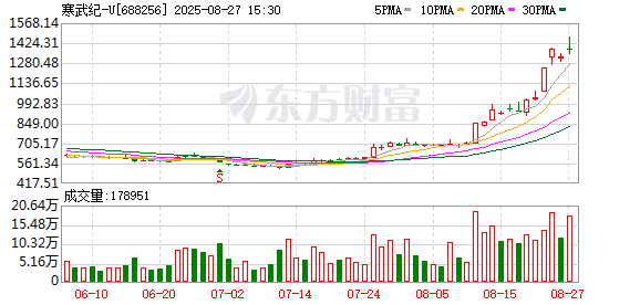 寒武纪靠什么成为「寒王」？