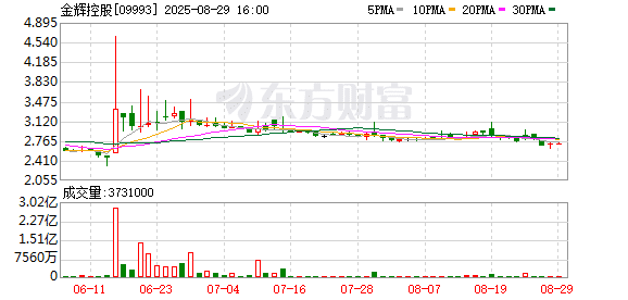 金辉控股：上半年收入64.1亿元 债务余额237亿元