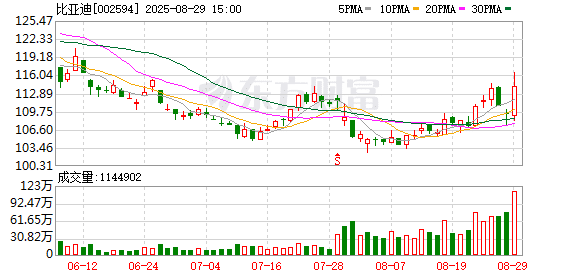 比亚迪：上半年净利润155.1亿元 同比增长13.79%