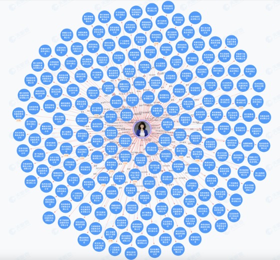 宗馥莉名下的公司图谱(图片来源:天眼查)