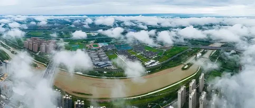 又一大省入局，中部正在「沿海化」？