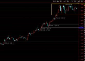 大牛股即将上桌？历史规律暗藏「大肉」——极简投研