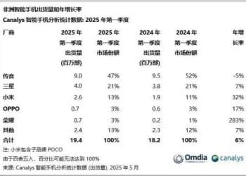 雷军盯上了非洲的「三瓜俩枣」
