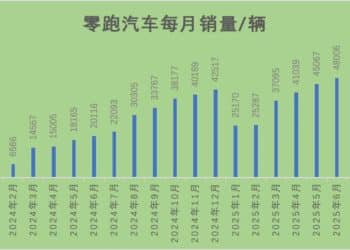 零跑霸榜销冠5个月，「半价理想」能支棱多久？