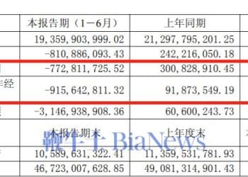 净利暴跌356%！江淮半年巨亏7.7亿，等尊界「救场」