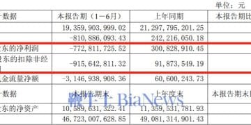 净利暴跌356%！江淮半年巨亏7.7亿，等尊界「救场」