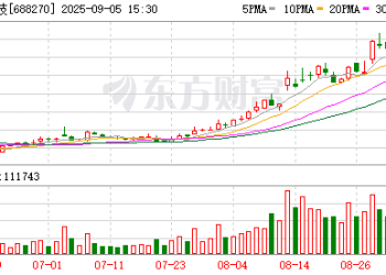 新进标的猛涨134% 葛卫东持仓大曝光