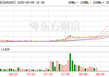 十连板「大牛股」再发公告！芯片背景公司入主 提示多项风险