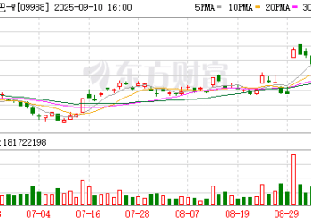 神秘新业务揭晓！阿里让高德「扫街」