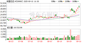 神秘新业务揭晓！阿里让高德「扫街」