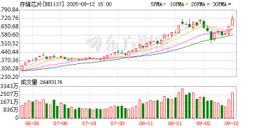 存储芯片概念股集体大涨！多则消息突然引爆！投行「唱多」行业龙头