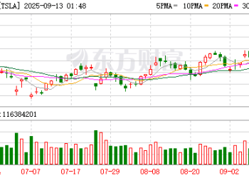 特斯拉豪赌机器人寻找新叙事 机构称高估值下马斯克已无犯错空间