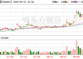 盛达资源公告！子公司在建矿山发生安全事故 致1人死亡