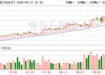 高盛从未发布上调胜宏科技目标价研报 AI算力「炒作」现分歧
