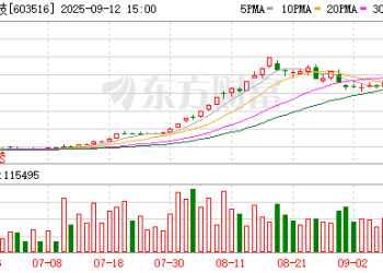 淳中科技四连板！首开股份八天七涨停！科技股大爆发