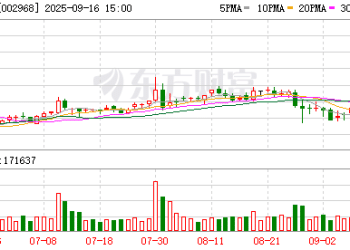公告重大资产重组 新大正提前两涨停！