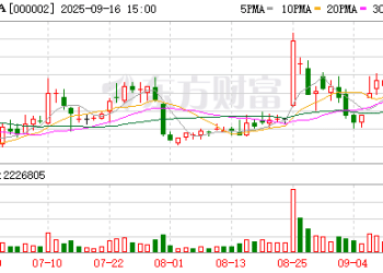 万科A：深铁集团向公司提供不超过20.64亿元借款
