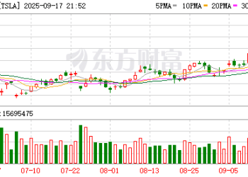 「车顶维权」女车主首次胜诉 特斯拉被判提供完整行车数据