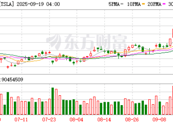 Optimus交易传闻疑云重重 马斯克对涉事公司主页贴脸评论「假的」