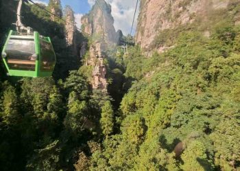 49 岁重启周记 30 ：旅游赚钱两不误，体验牛市的快乐