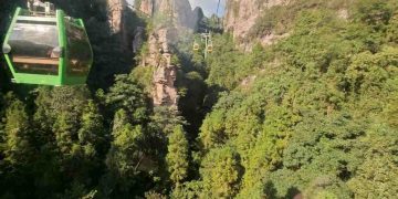 49 岁重启周记 30 ：旅游赚钱两不误，体验牛市的快乐