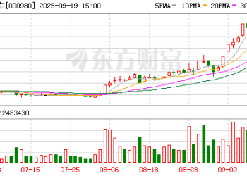 6年半来累计亏损255亿元！「山寨车鼻祖」工厂实探