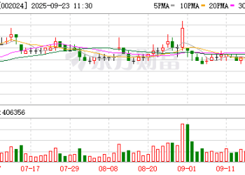 大股东阿里拟减持苏宁易购股份不超2.85%：基于自身商业安排