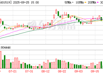 大智慧：湘财股份的A股换股价格为7.51元/股 大智慧的A股换股价格为9.53元/股