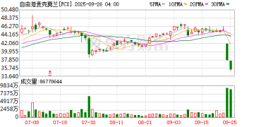 全球第二大铜矿因事故停产 铜精矿紧缺「雪上加霜」