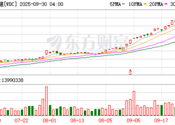 美股2025超级牛股希捷、西部数据再度拉涨 大摩解析HDD炒作逻辑