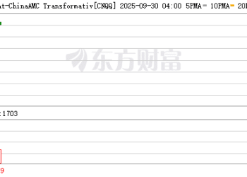 海外投资者聚焦中国科技  布局中国的新利器ETF CNQQ已在纳斯达克上市